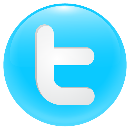 Round Twitter Icon Button