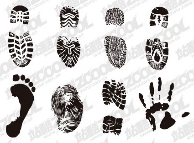 Shoe Print Vector