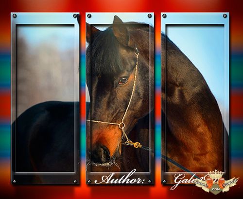 Triptych of Horses Running Triptych of Horses Running