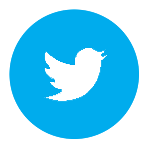 Twitter Bird Icon Round