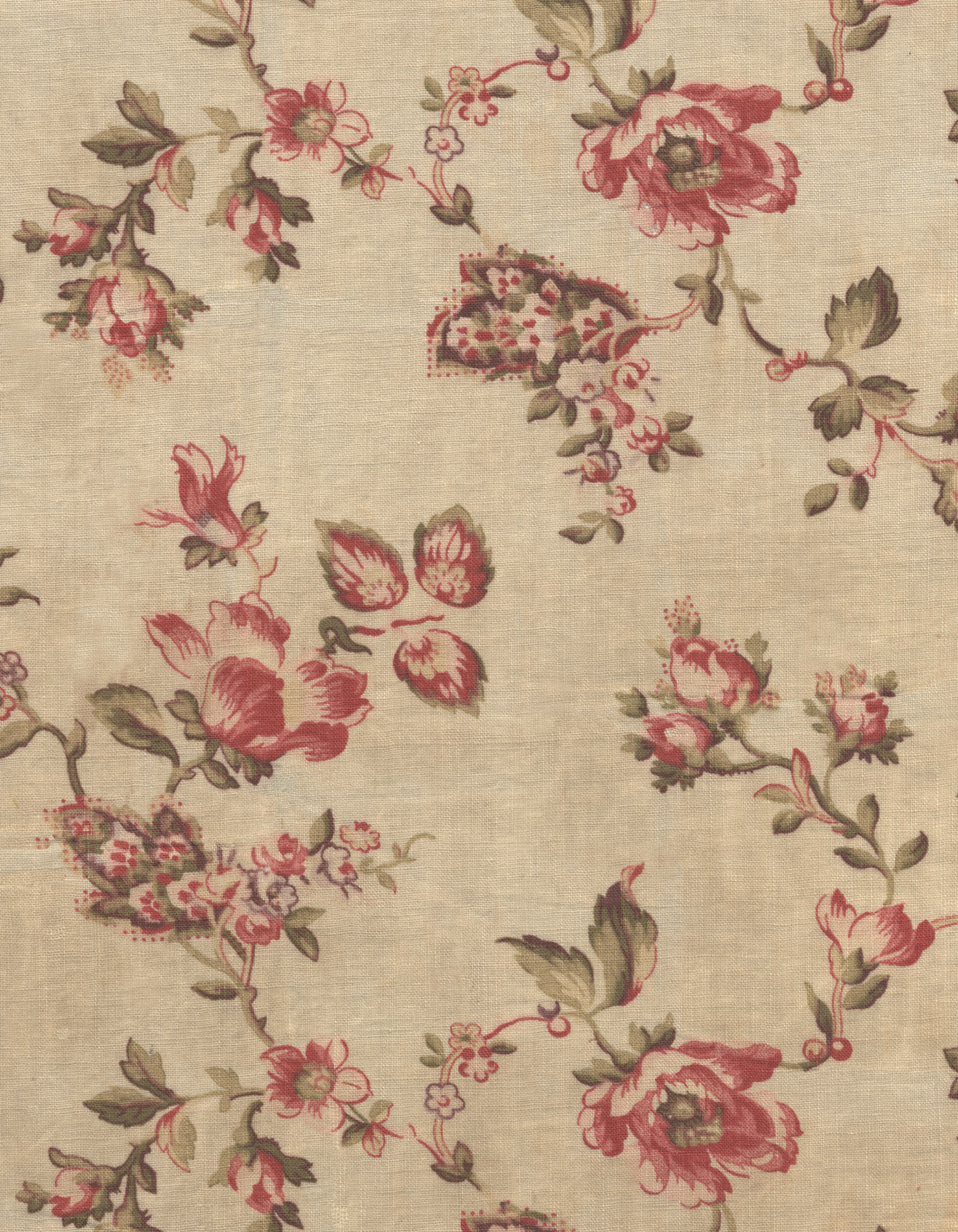 Vintage Floral Design Patterns