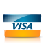 Visa Credit Card Icon