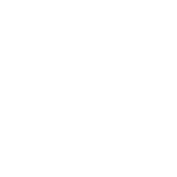 White Firefox Icon