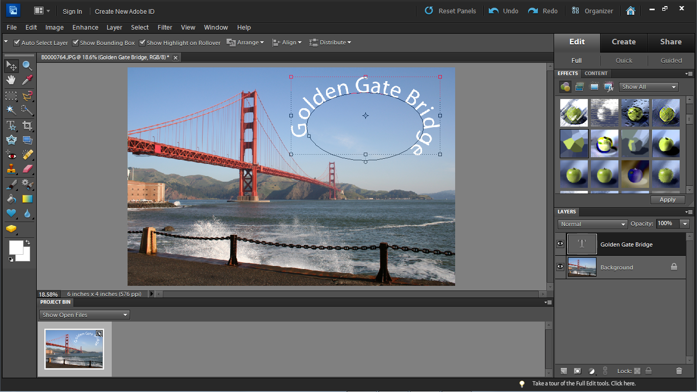 Adobe Photoshop Elements 10