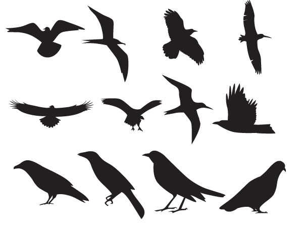 Bird Silhouette Clip Art Bird Silhouette Clip Art