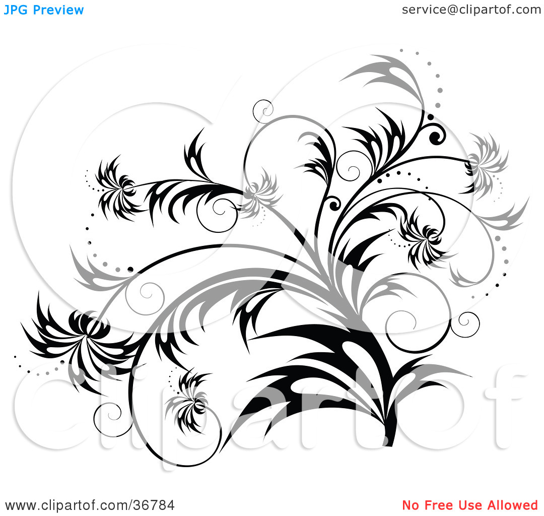 Black and White Scroll Designs Black and White Scroll Designs