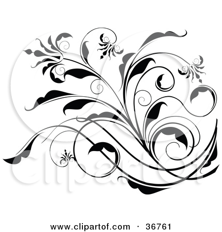 Black and White Scroll Designs