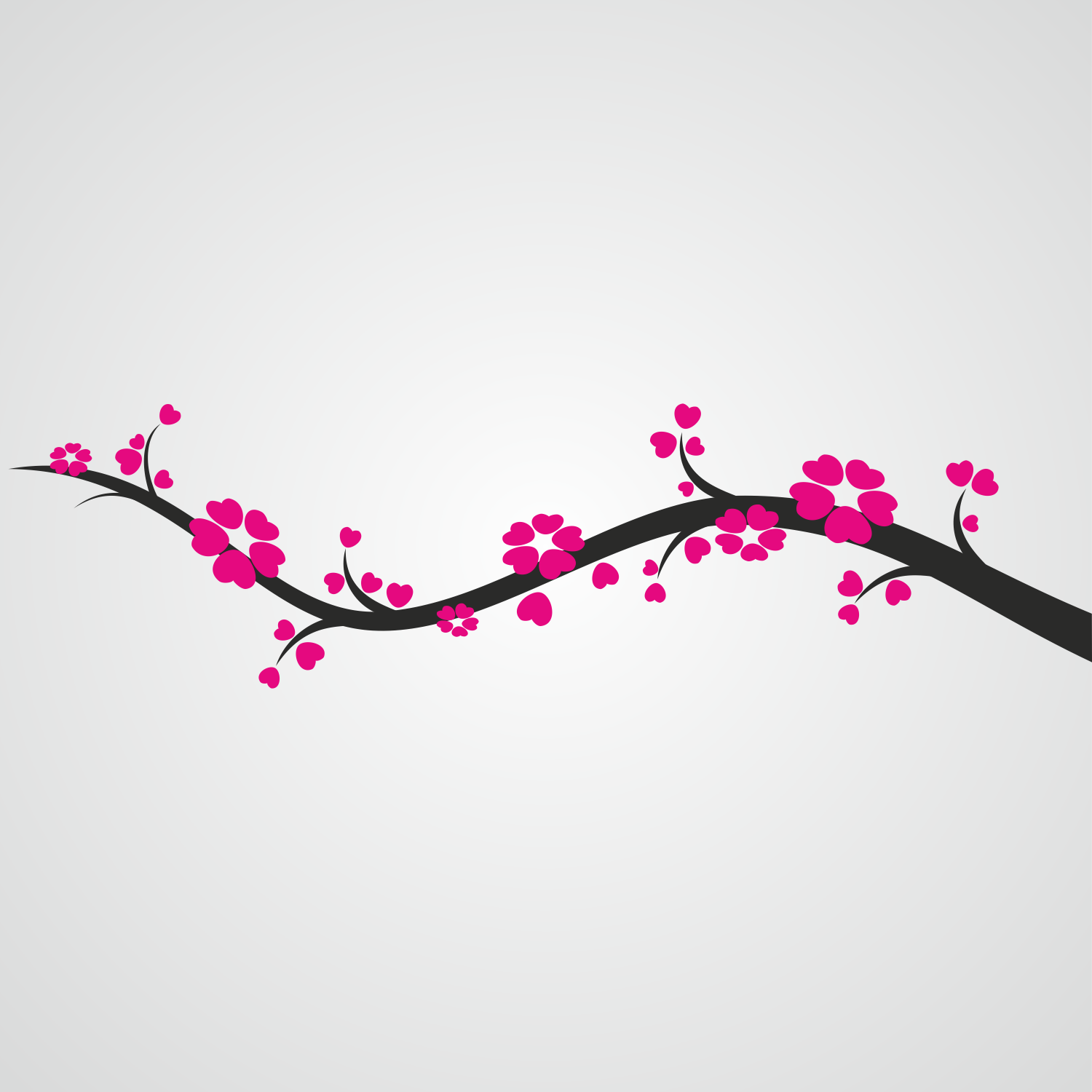 Cherry Blossoms Branch Vector Graphics