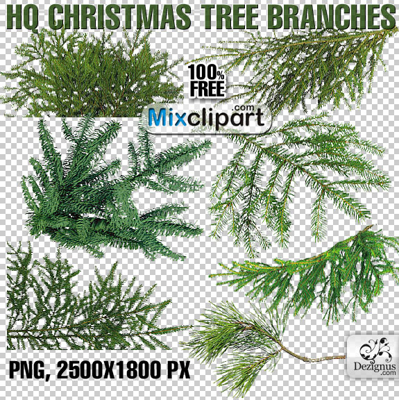 Christmas Tree Branch Transparent