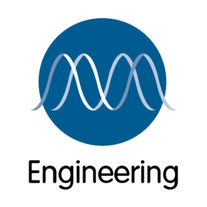Engineering School Logo