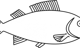 Fish Outline Drawing