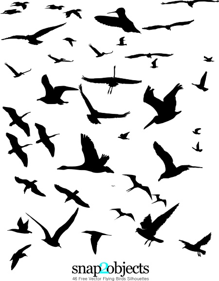Flying Bird Silhouette Tattoo