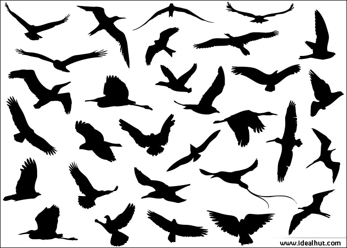 Flying Birds Silhouette Vector