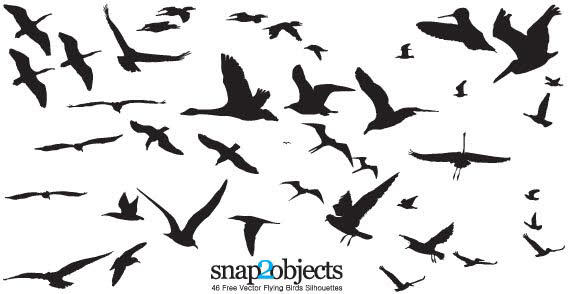 Flying Birds Silhouettes Vector Free