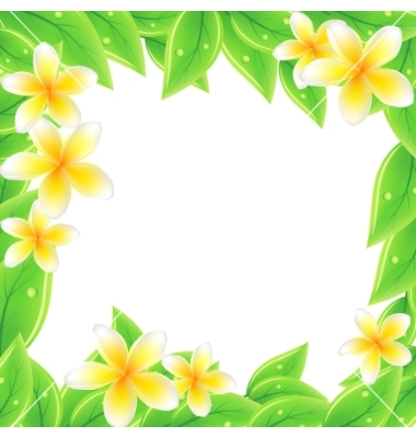 Frangipani Border Free Frangipani Border Free