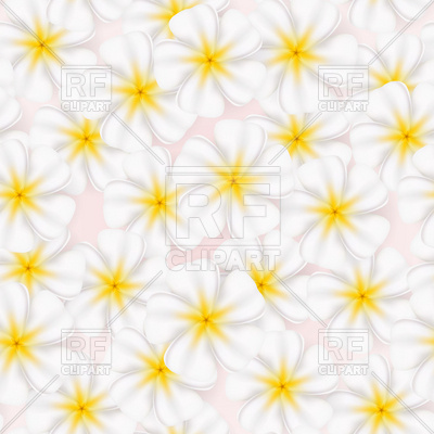 Frangipani Clip Art Free