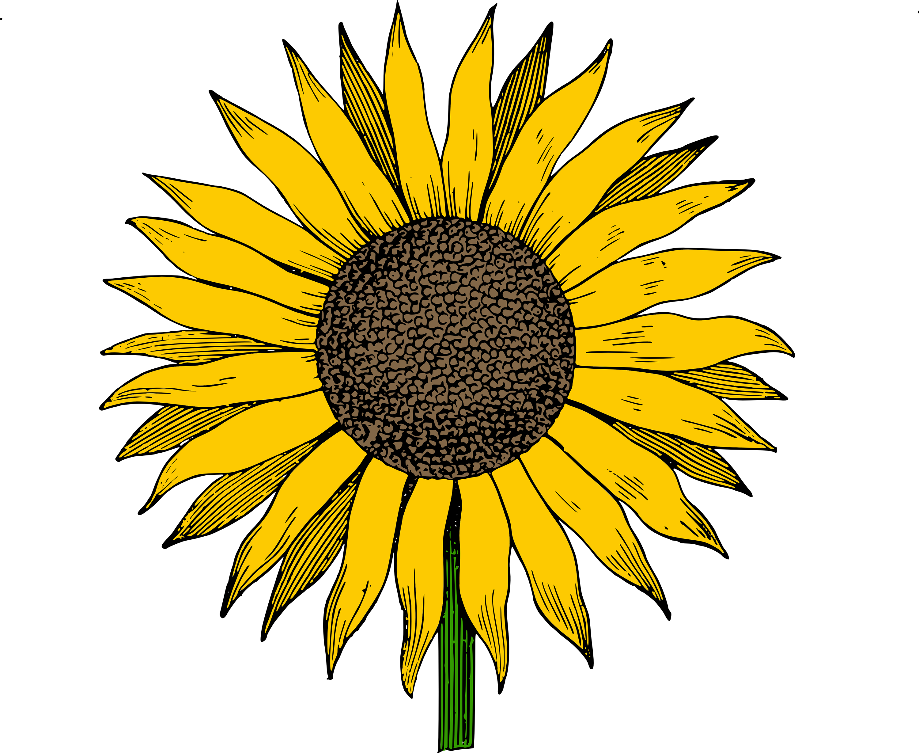 Free Printable Sunflower Clip Art