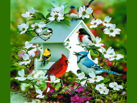 Free Spring Desktop Birds