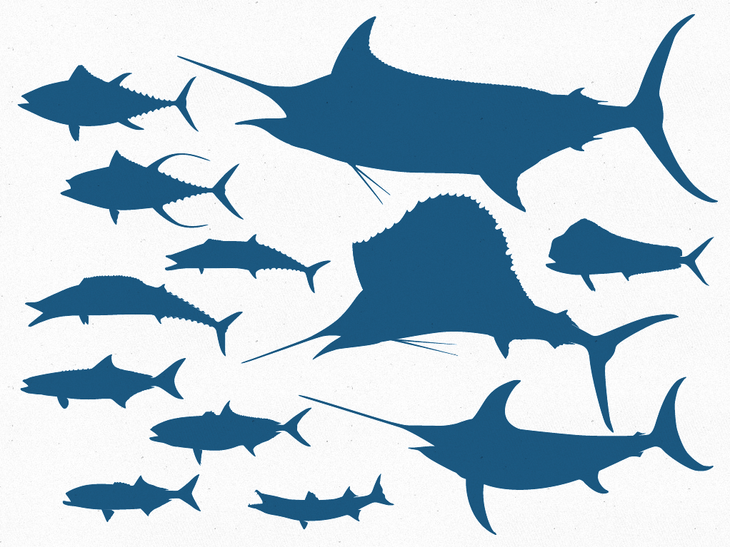 Free Vector Images Fish Outline