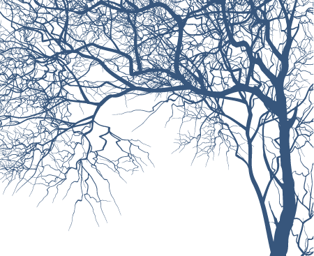 12 Tree Branch Vector Images