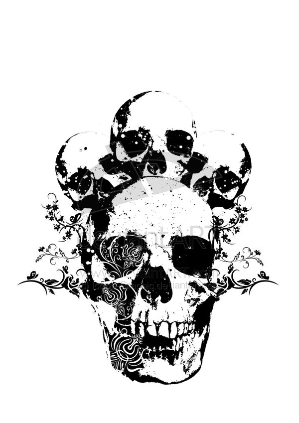 14 Skull Graphic Designs Images