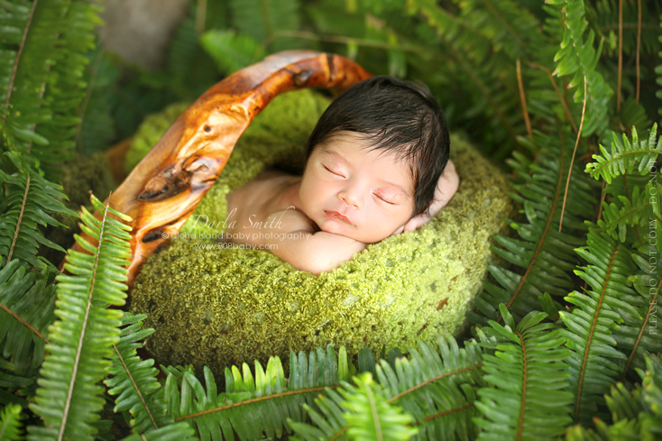 Newborn Baby Girl Photography Outdoors