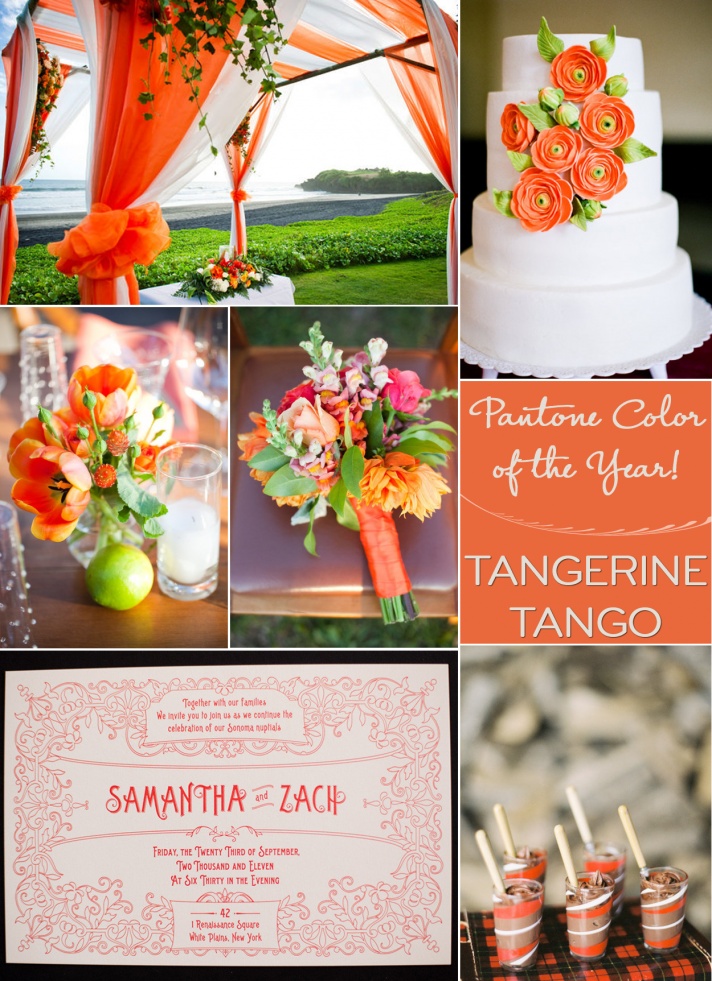 8 Tangerine Designs Pinterest Images