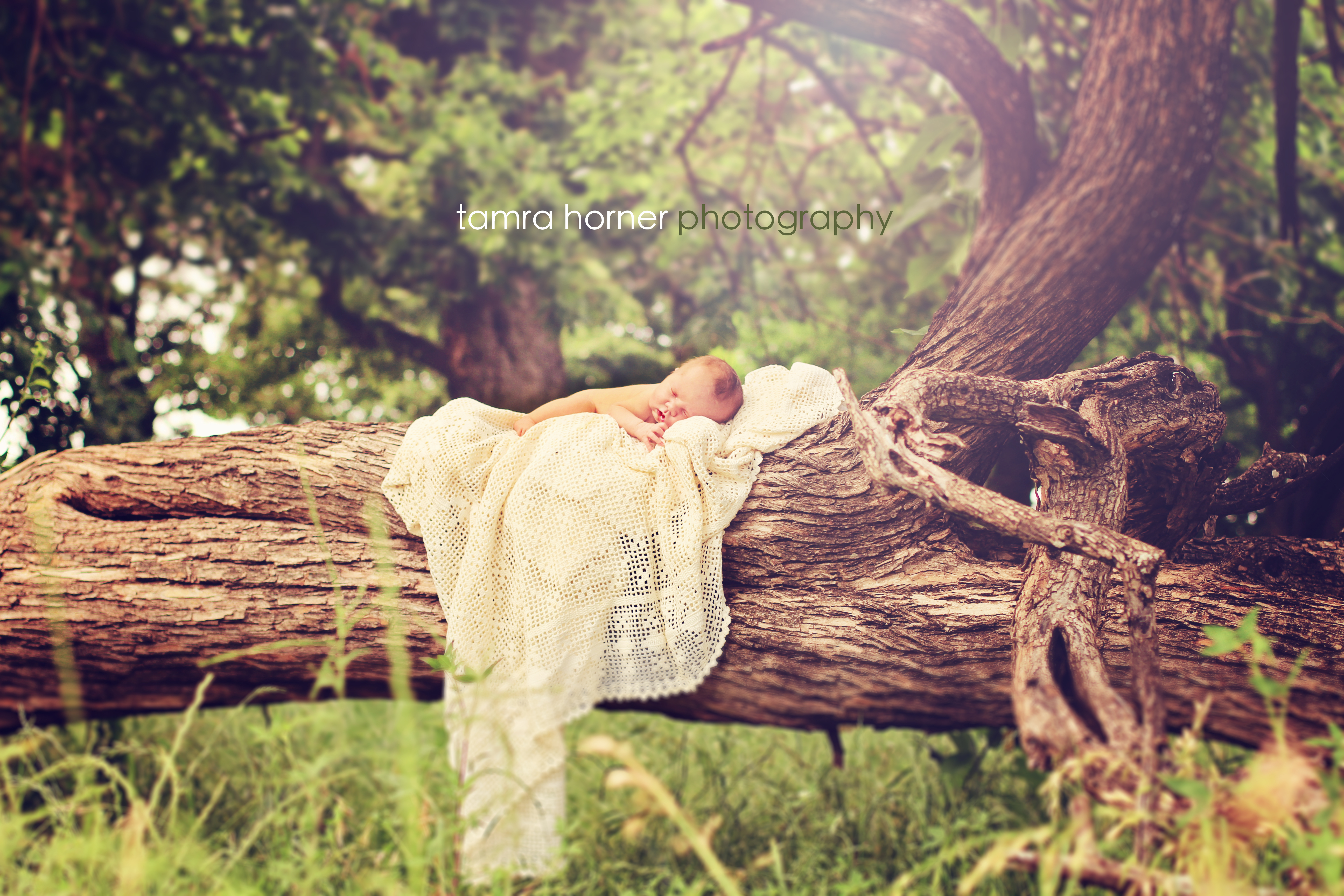 Outdoor Photography of Newborn Babies