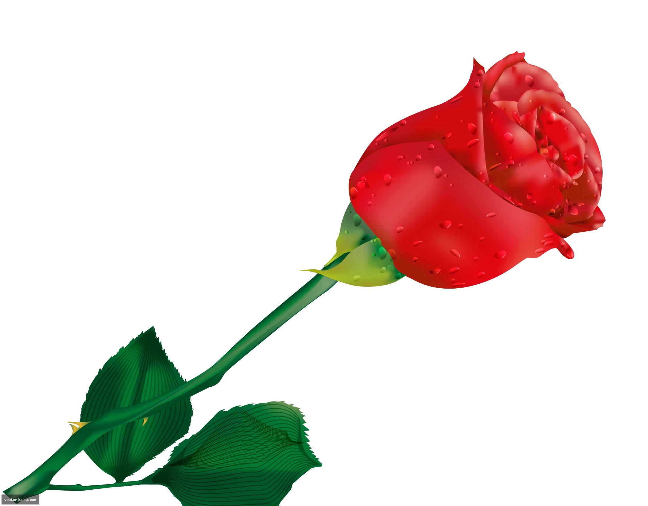 Red Rose Graphics Red Rose Graphics