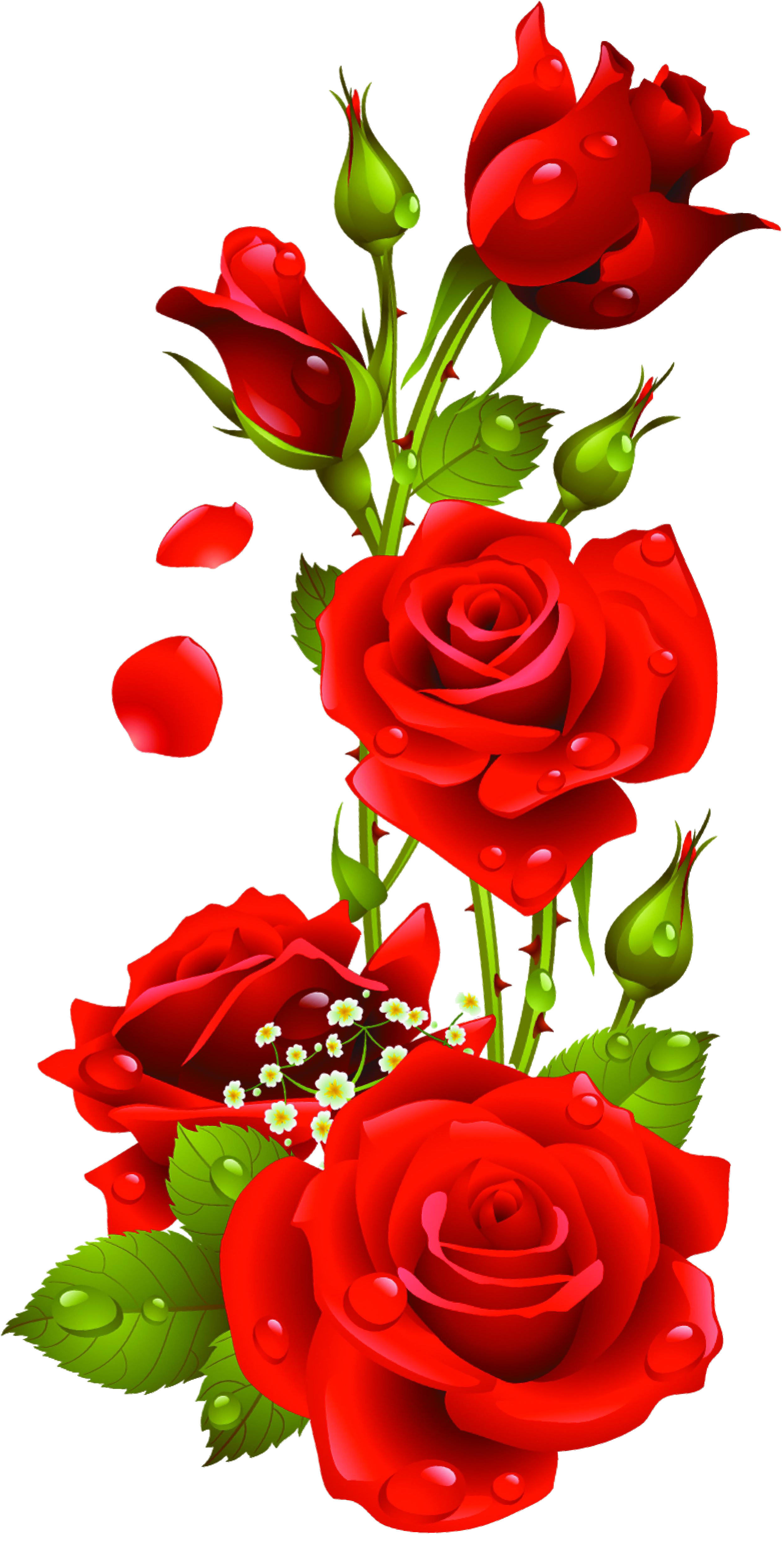 Red Rose Vector