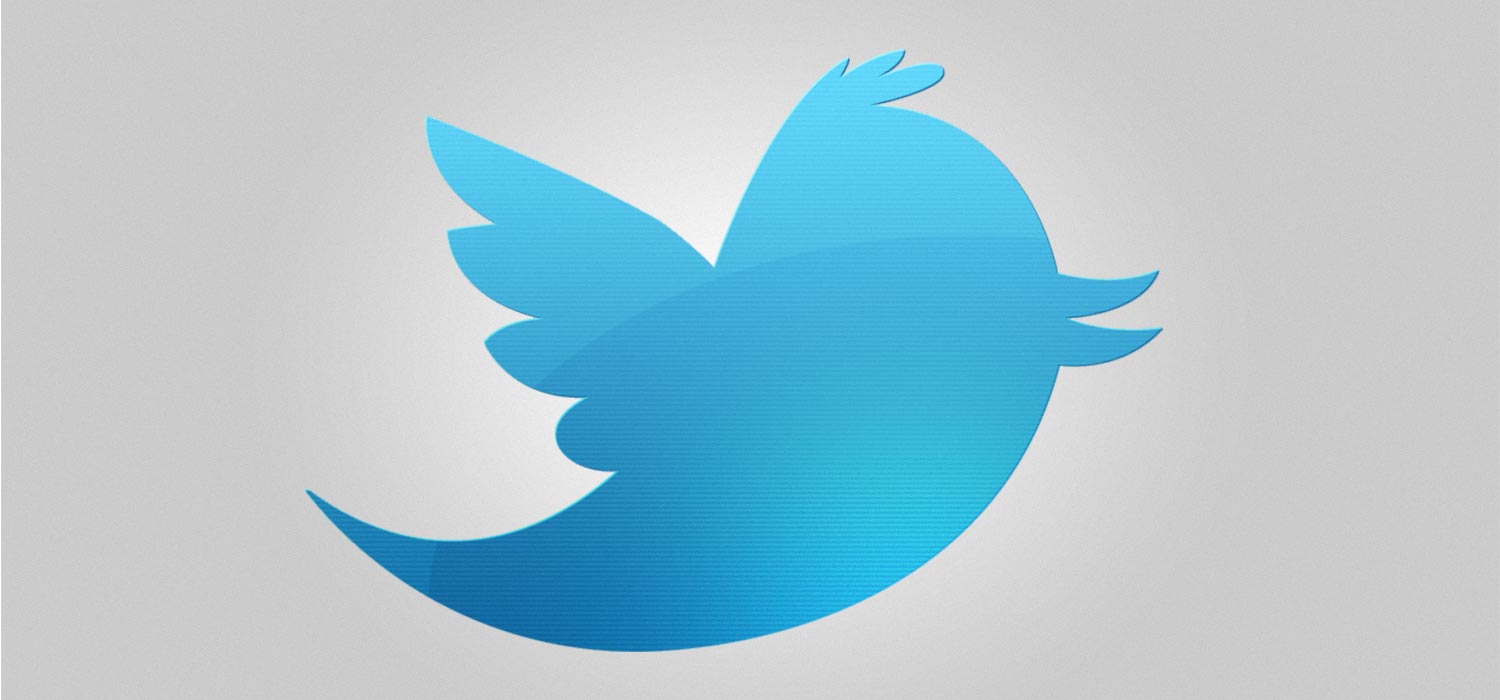 Twitter Bird Icon Twitter Bird Icon