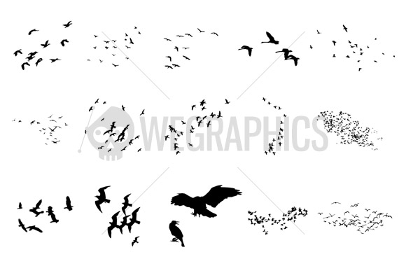 Vector Flying Bird Silhouette Tattoo