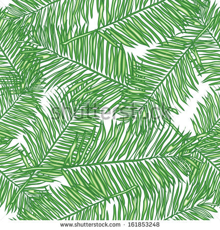 Vector Palm Leaves