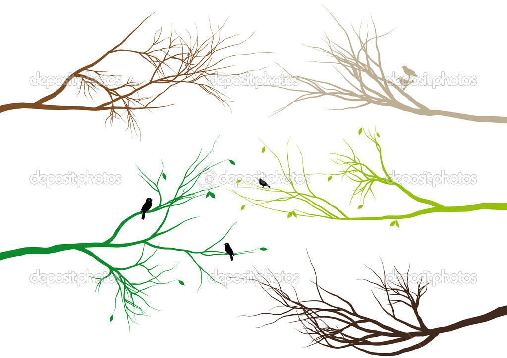 Vector Tree Branch with Birds