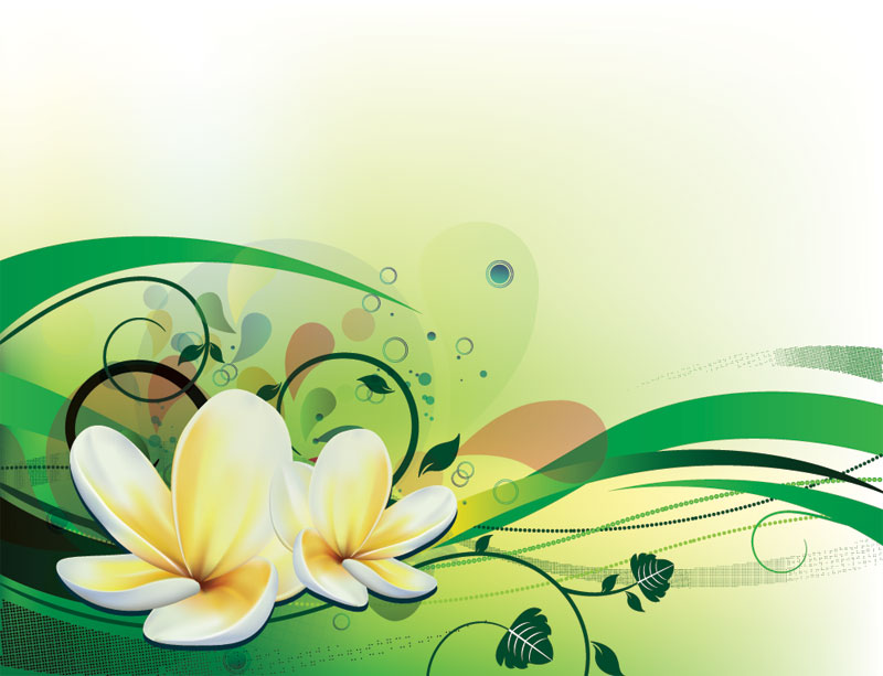 Water Lily Vector