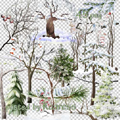 Winter Tree Clip Art Transparent