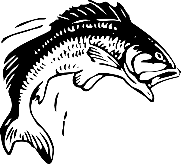 19 Fish Clip Art Vector Images