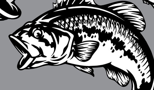 Bass Fish Vector Clip Art