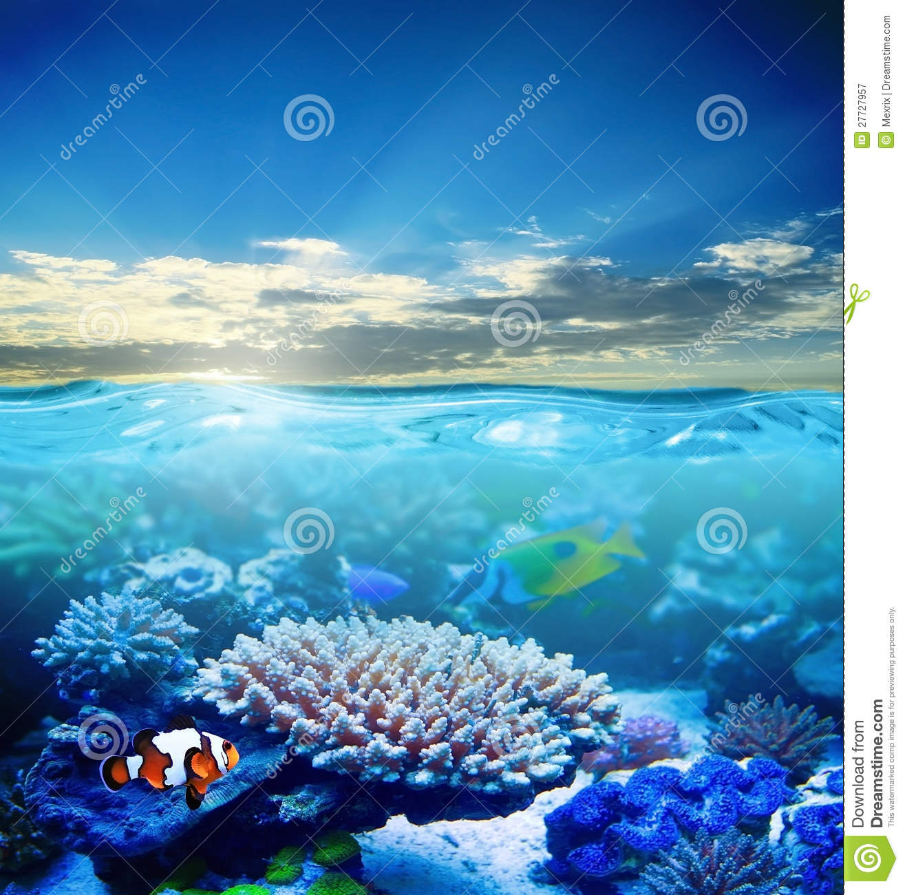 Beautiful Underwater Photography