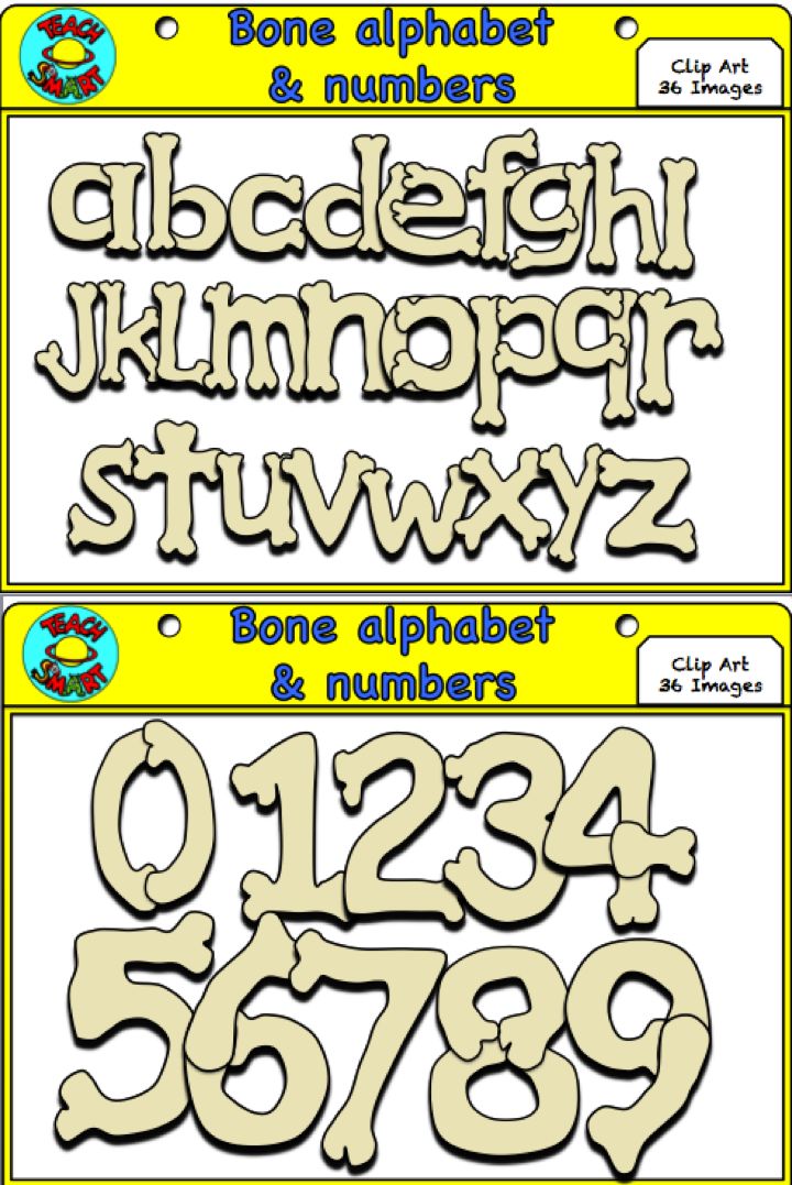 Bone Letters and Numbers