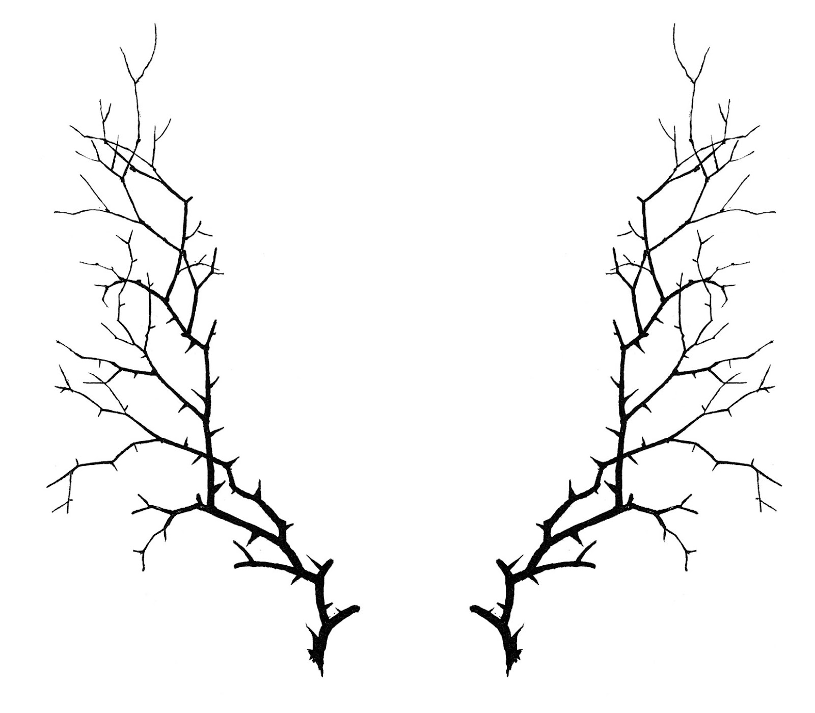 Branch Border Clip Art