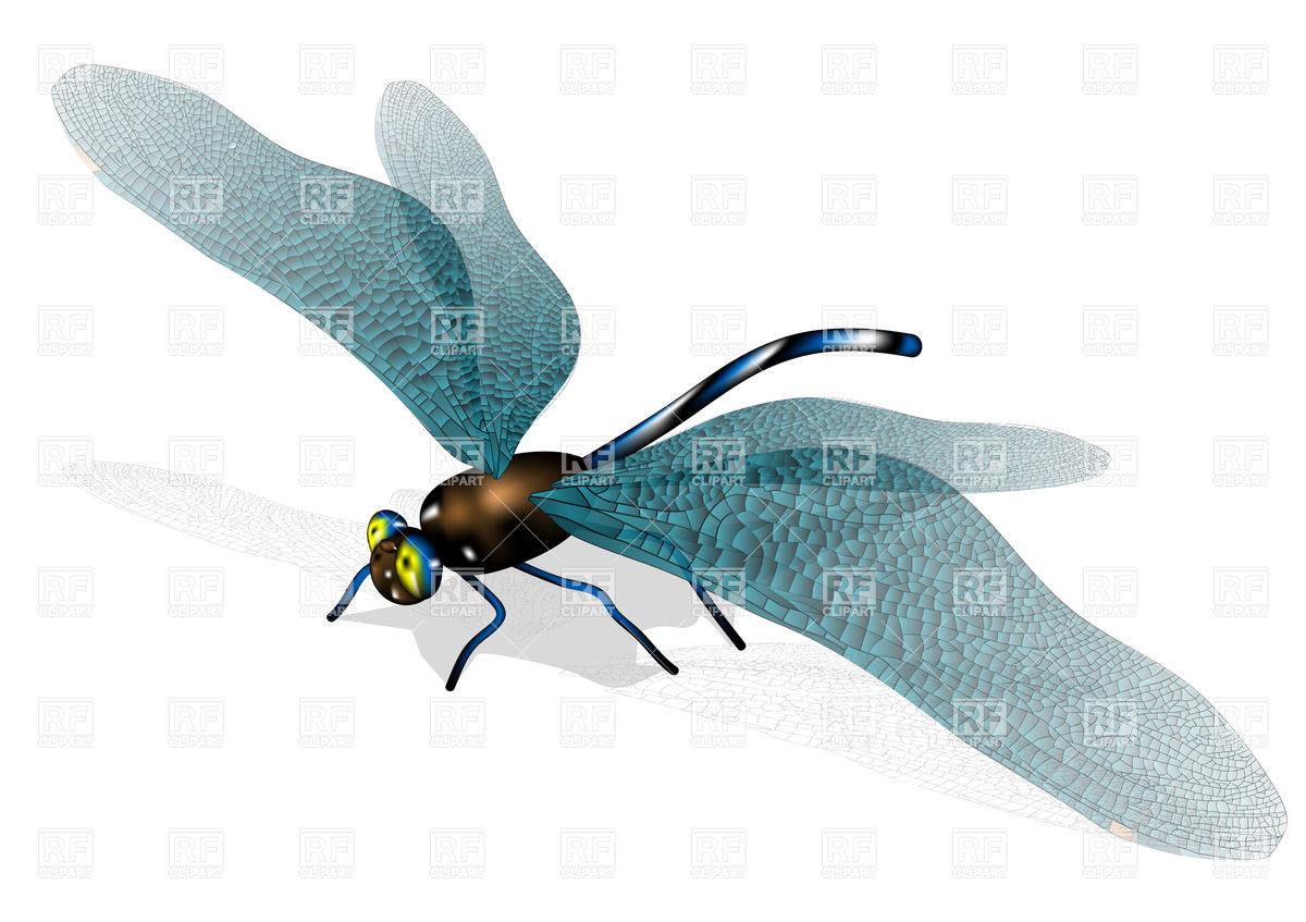 Dragonfly Clip Art Free Download
