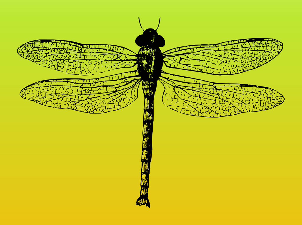 Dragonfly Clip Art