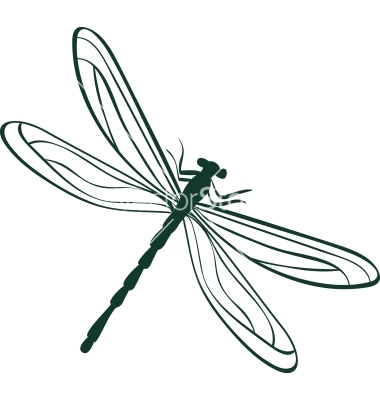 Dragonfly Vector Art