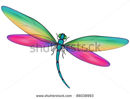 Dragonfly Vector Clip Art