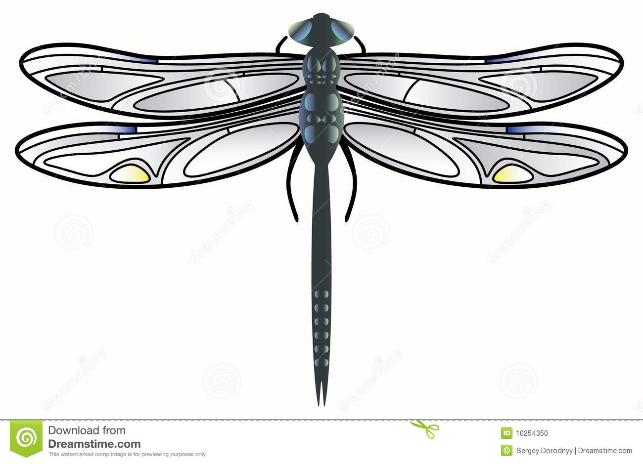 Dragonfly Vector