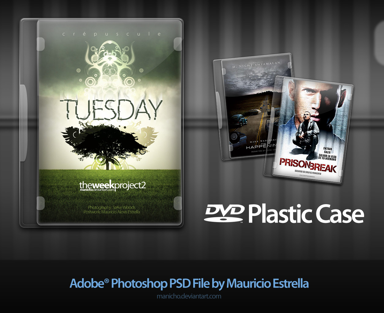 DVD Case Cover Template PSD DVD Case Cover Template PSD