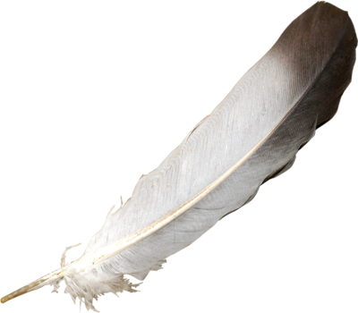 Feather PSD
