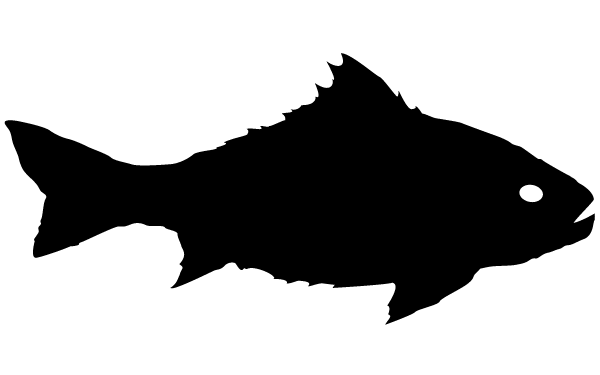 Fish Silhouette Clip Art