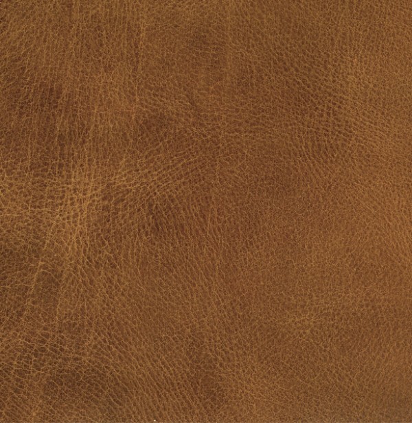 Free Leather Textures